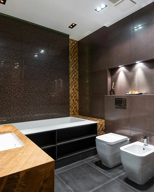 bathroom renovation features in aurora