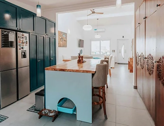 kitchen renovation contractors in etobicoke